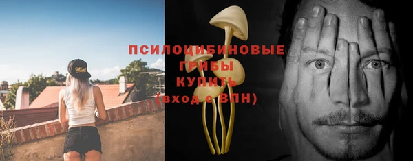 первитин Верхний Тагил