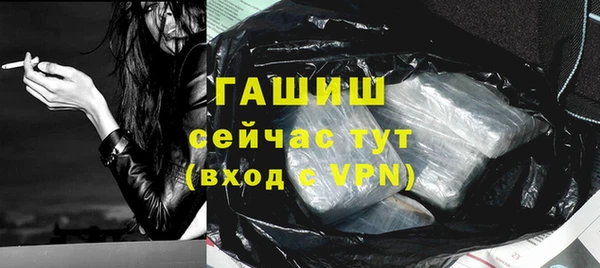 PSILOCYBIN Бородино